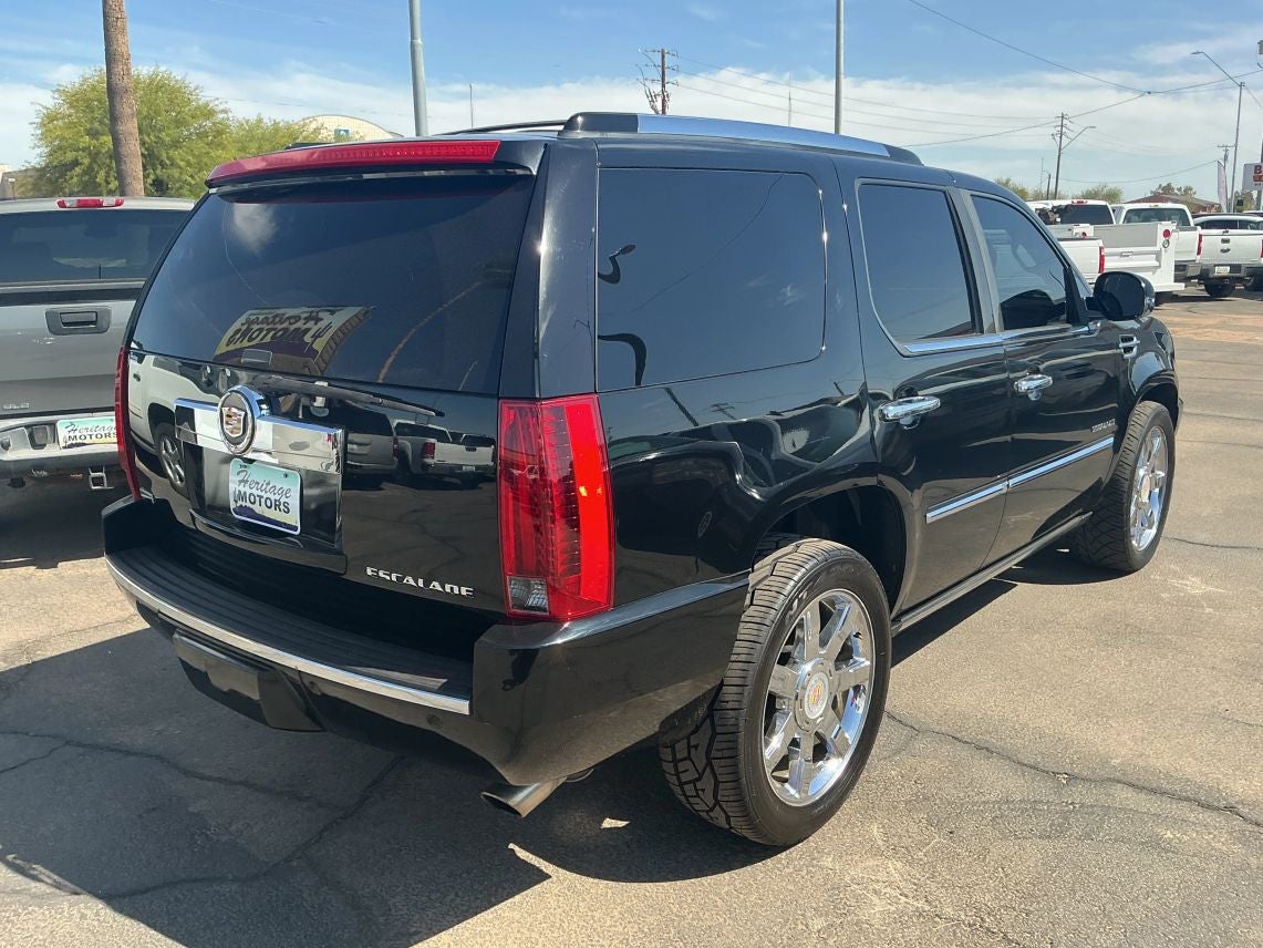 2010 Cadillac Escalade Sport Utility Premium