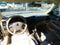 2004 Honda Accord EX-L Sedan 4D
